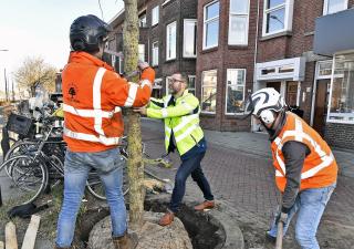 Foto van bomen planten op de Haagweg