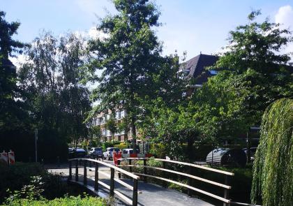 Impressie stalen brug (Thierenskade)