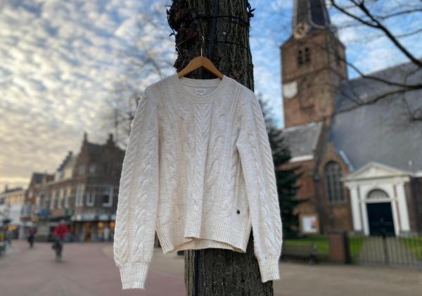 trui aan boom in oud rijswijk