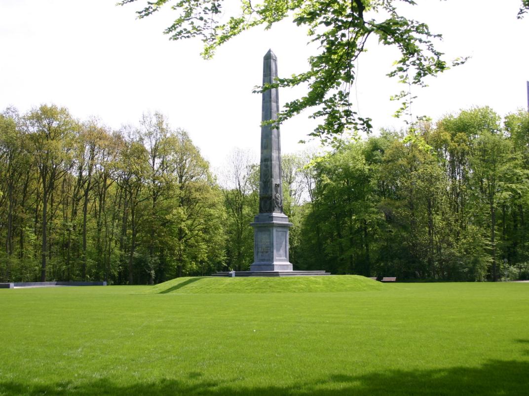 Naald in het Rijswijkse bos