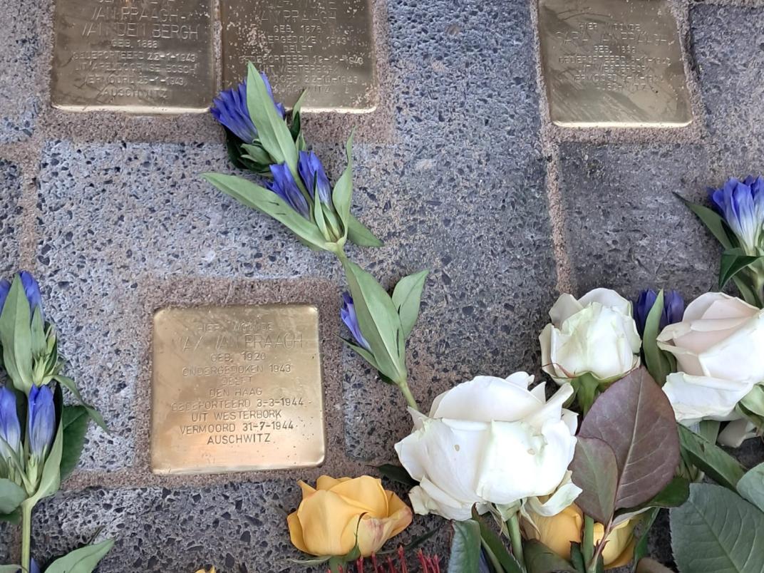 Witte, gele en paarse bloemen liggen rondom de gouden struikelstenen.